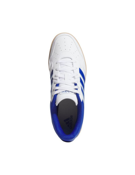 Buty adidas hoops 4.0 m