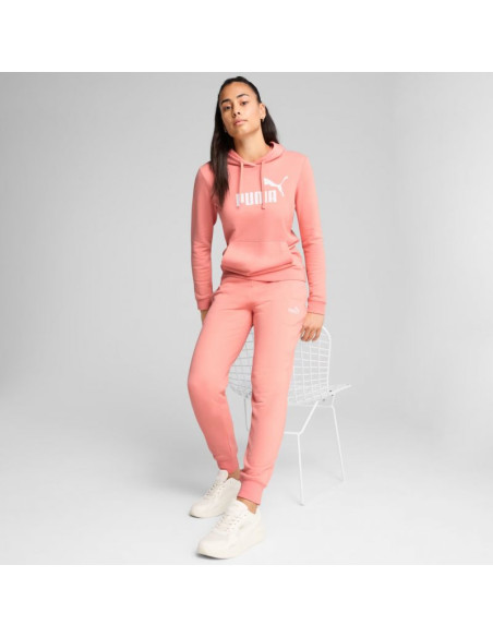 Bluza puma ess no.1 logo hoodie w 682391