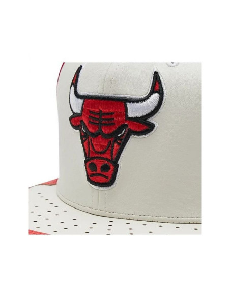 Czapka z daszkiem mitchell & ness nba day one snapback bulls