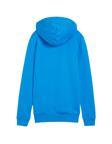 Bluza puma team goal casuals hoody w 658621