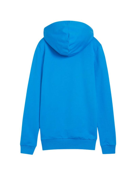 Bluza puma team goal casuals hoody w 658621