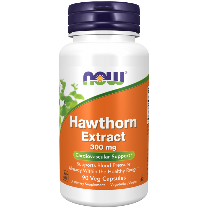 Hawthorn Extract 300 mg (90 kaps.)