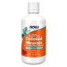 Colloidal Minerals - Minerały Koloidalne smak malinowy (946 ml)