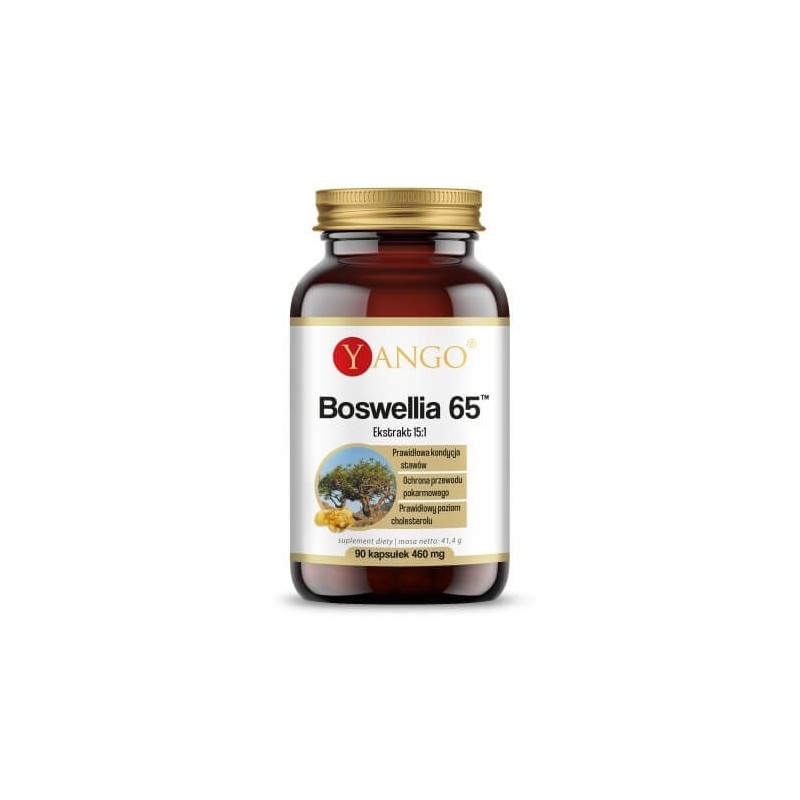 Boswellia 65™ (90 kaps.)