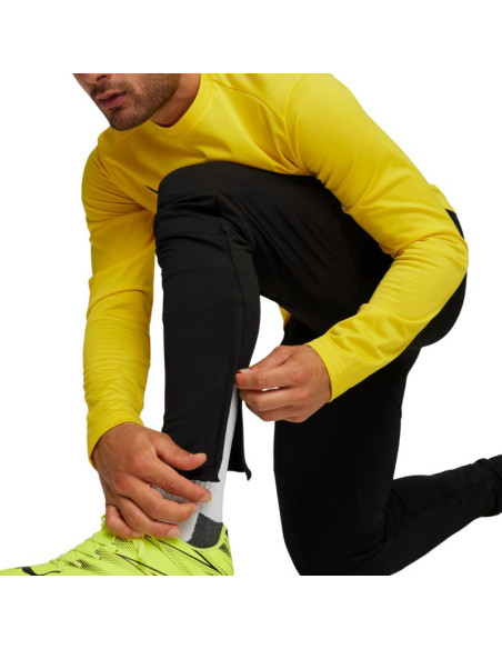 Spodnie puma team goal slim training m 659037