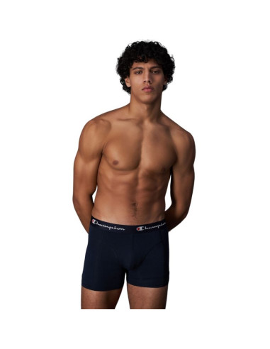 Bokserki champion 2 szt. m u20001
