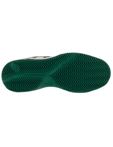 Buty asics gel-dedicate 8 clay m 1041a448