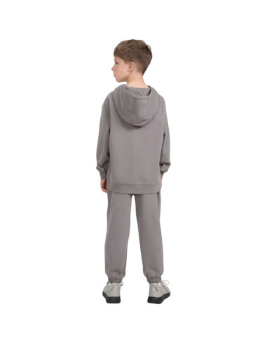 Spodnie 4f cas m1245 jr 4fjwaw25ttrom1245