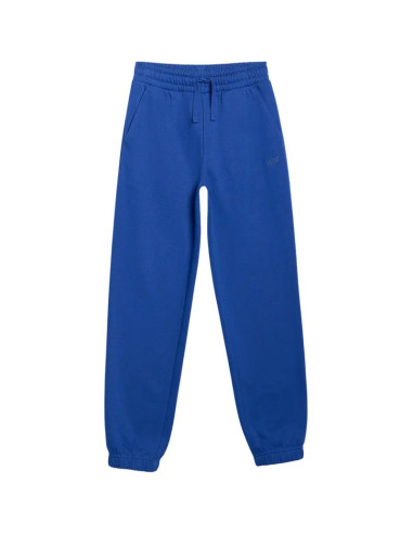 Spodnie 4f cas m1245 jr 4fjwaw25ttrom1245