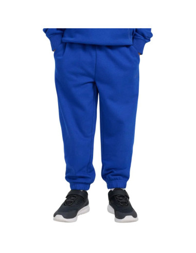 Spodnie 4f cas m1245 jr 4fjwaw25ttrom1245