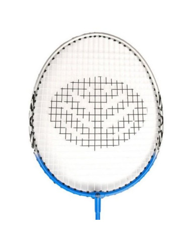 Zestaw do badmintona meteor rox pioneer