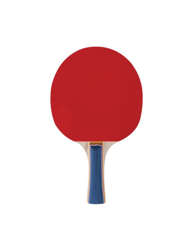 Rakietka do tenisa stołowego spokey training pro fl