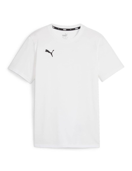 Koszulka puma team goal casuals tee jr 658616