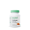 Cordyceps 600 mg (60 kaps.)