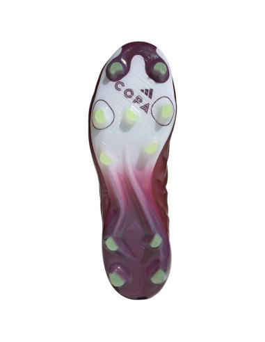 Buty piłkarskie adidas copa pure 2 elite fg m