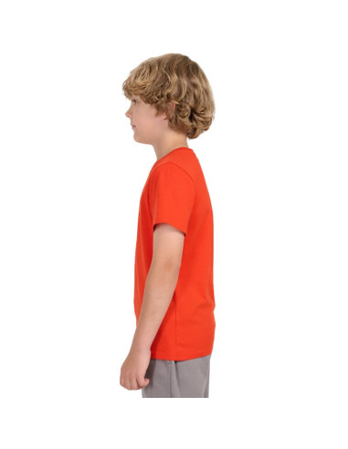 Koszulka 4f jr 4fjwaw25ttshm2417