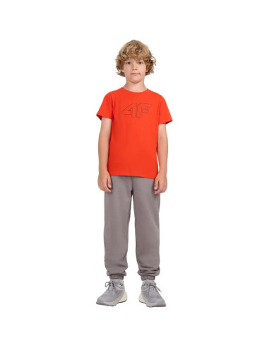 Koszulka 4f jr 4fjwaw25ttshm2417