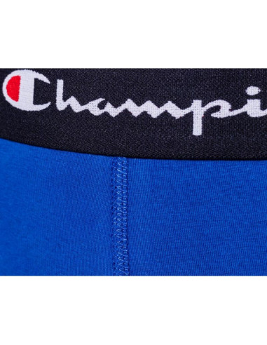 Bokserki champion 2 szt. m u20001