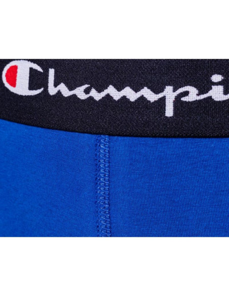 Bokserki champion 2 szt. m u20001