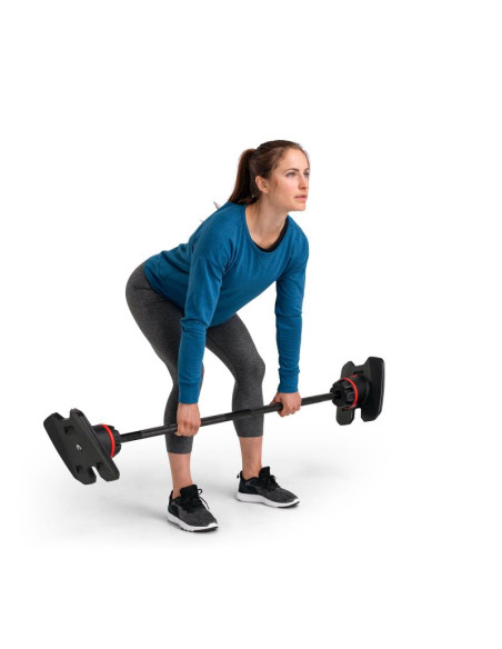 Zestaw sztang regulowanych bowflex 2080 selecttech