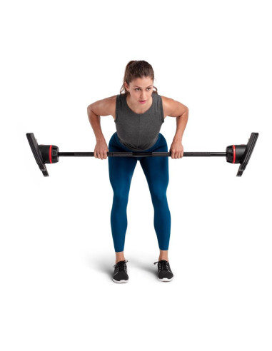 Zestaw sztang regulowanych bowflex 2080 selecttech