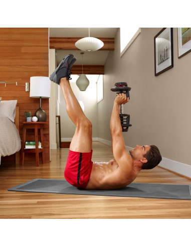 Hantle bowflex select tech 1090i