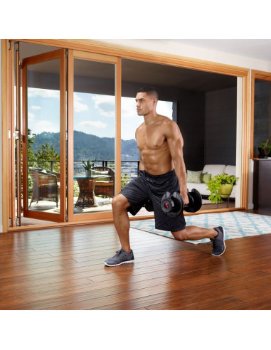 Hantle bowflex select tech 1090i