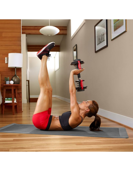 Hantla regulowana bowflex select tech 552i