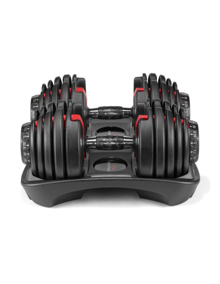 Hantla regulowana bowflex select tech 552i