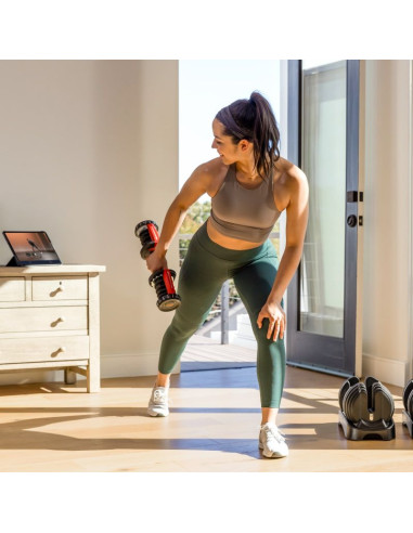 Hantla regulowana bowflex select tech 552i