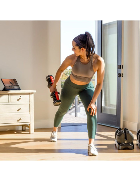 Hantla regulowana bowflex select tech 552i