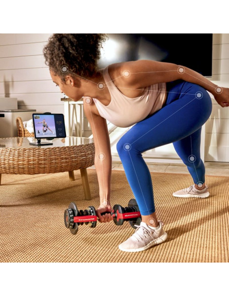 Hantla regulowana bowflex select tech 552i