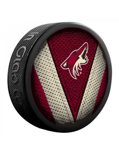 Pamiątka krążek hokejowy inglasco nhl stitch