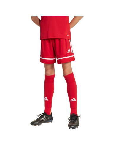 Spodenki adidas squadra 25 jr