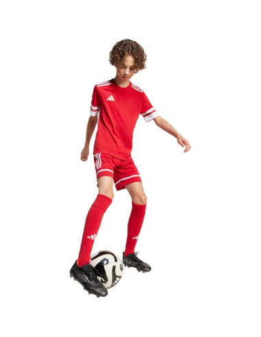 Spodenki adidas squadra 25 jr