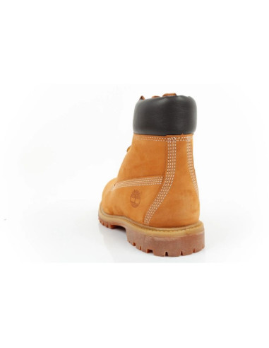 Buty timberland premium 6 m