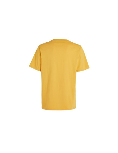 Koszulka o'neill future surf society t-shirt m