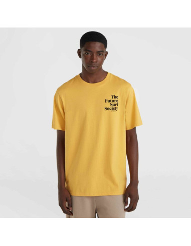 Koszulka o'neill future surf society t-shirt m