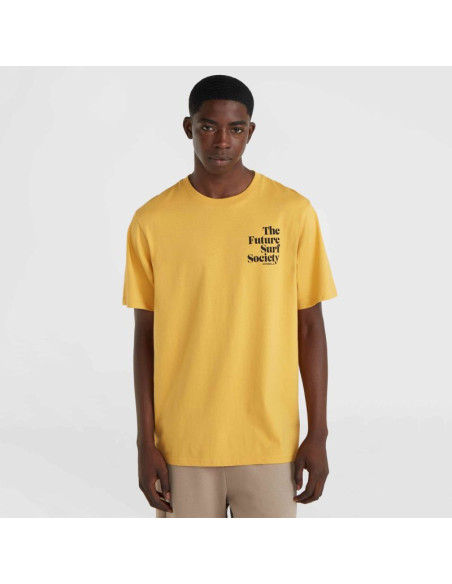 Koszulka o'neill future surf society t-shirt m