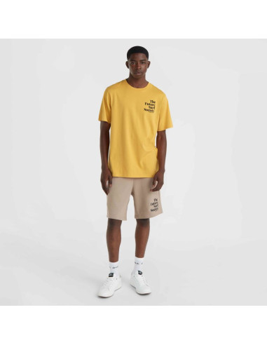 Koszulka o'neill future surf society t-shirt m