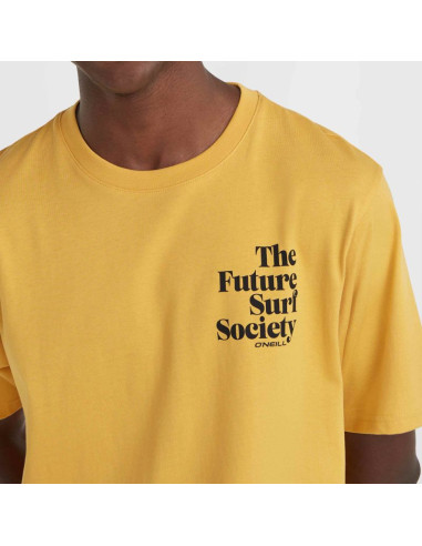 Koszulka o'neill future surf society t-shirt m