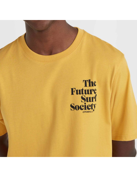 Koszulka o'neill future surf society t-shirt m