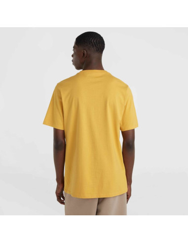 Koszulka o'neill future surf society t-shirt m