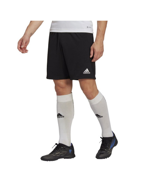 Spodenki adidas entrada 22 training short m