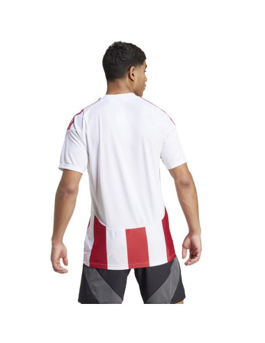 Koszulka adidas striped 24 jsy m