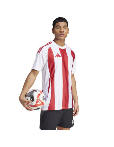 Koszulka adidas striped 24 jsy m