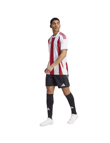 Koszulka adidas striped 24 jsy m