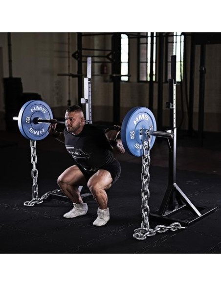 Łańcuch na gryf gr50 (2 szt) hms 17-62-115