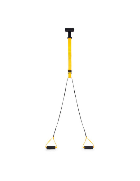 Pasy total body suspension trainer body sculpture