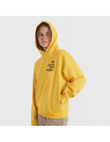 Bluza o'neill future surf society hoodie w